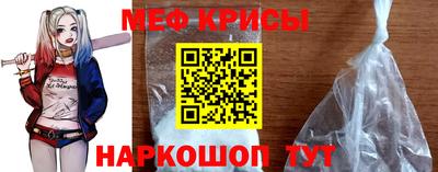 jwh Кингисепп