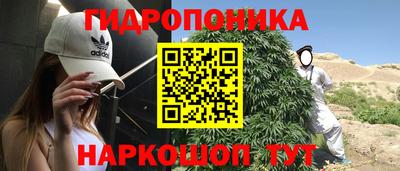 jwh Кингисепп