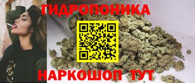 jwh Кингисепп